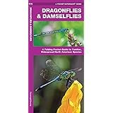 Dragonflies & Damselflies: A Folding Pocket Guide to Familiar, Widespread North American Species (Wildlife and Nature Identif