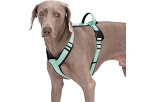 Abuandi Dog Harness with Security Lock Buckle for Small Medium Large Dogs, Adjustable Dog Cooling Vest, Reflective No Pull No Choke Harness for Trail Running, Walking, Hiking, Camping