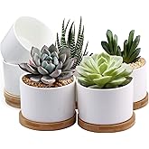 ZOUTOG Succulent Pots, White Mini 3.15 inch Ceramic Flower Planter Pot with Bamboo Tray, Pack of 6 - Plants Not Included