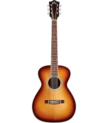 Amazon.com: Guild Guitars M-120 Acoustic Guitar, in Natural