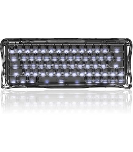 Amazon.com: GravaStar Mercury V60 Pro 60% HE Magnetic Gaming