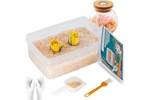 DONGXW Silica Gel Flower Drying Crystals 2LBS, Color Indicating Desiccant Beads Reusable Flower Preservation Kit with Sealed Container, Gloves, Brush and Shovel