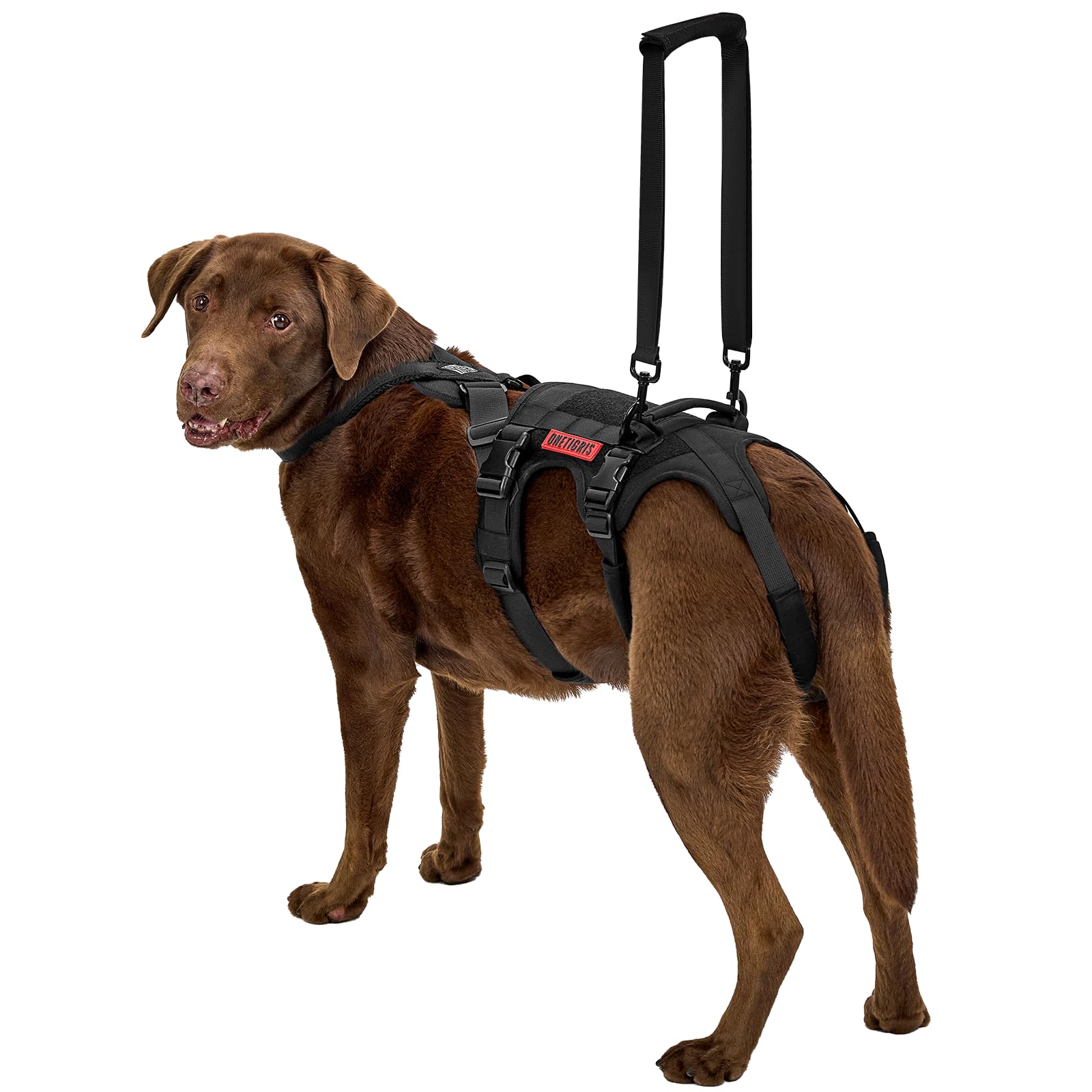 Photo 1 of OneTigris Dog Support Harness for Back Legs, Dog Lift Sling for Large Dogs Hind Legs, Canine Dogs Hip Support Brace Ideal for Elderly Injured Arthritic Provides (Black, XL)