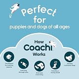 Coachi Whizzclick 2 in 1 Clicker and Whistle Dog Training Aid Reflective Lanyard view 6