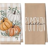 Artoid Mode Orange Eucalyptus Pumpkin Fall Bar Kitchen Towels, 12x24 Inch Quick Dry Microfiber Cloth Dish Towels for Kitchen Drying Set of 2