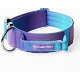 Spark Paws Tactical Large Dog Collar w/Handle - Thick &amp; Wide, Heavy Duty | Durable thick metal buckle, grab handle for girls, boys, pitbulls &amp; bully breeds. Padded; 1 to 2 inch wide, medium to XL