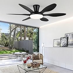 Ceiling Fans with Lights, 51 inch Modern Black Low
