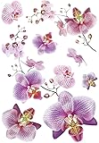PPA DESIGN Sticker Autocollant Mural Galets Orchidée - SRPO0001