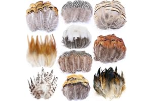 ANTUNIHOD 200pcs 10 Style Natural Feathers Assorted Mixed Feathers for Dream Catcher Crafts Decoration (10 Styles - 200 Pcs)