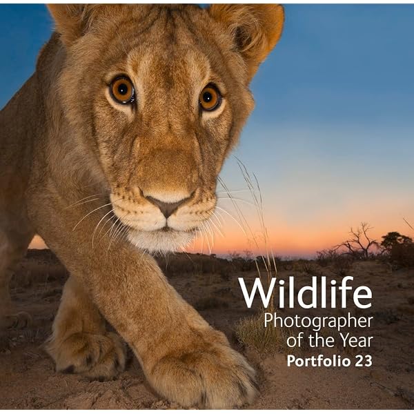 Amazon.com: Wildlife Photographer of the Year: Portfolio 26 (26
