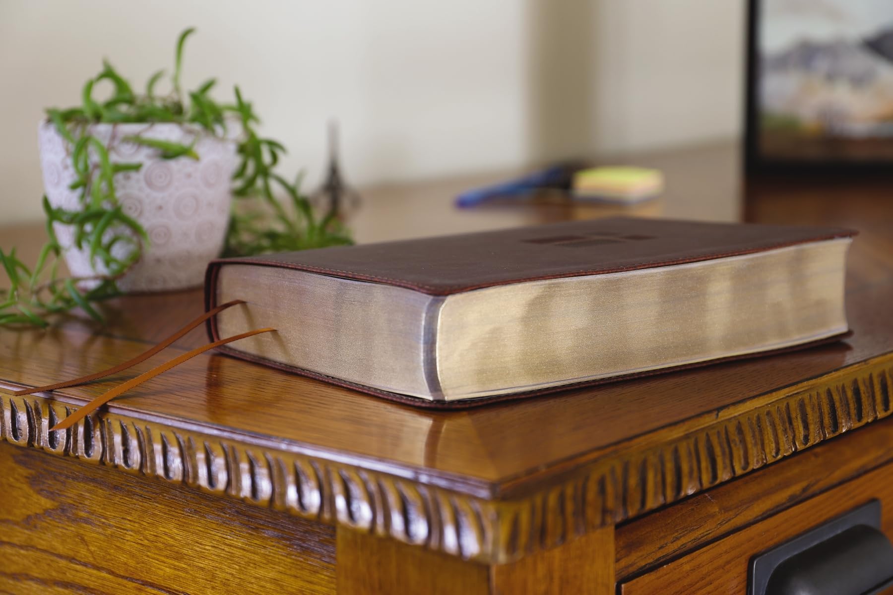 NIV, Quest Study Bible, Leathersoft, Brown, Comfort Print: The Only Q and A Study Bible