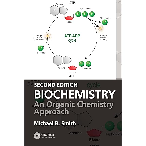 Amazon.com: Organic Chemistry: A Mechanistic Approach