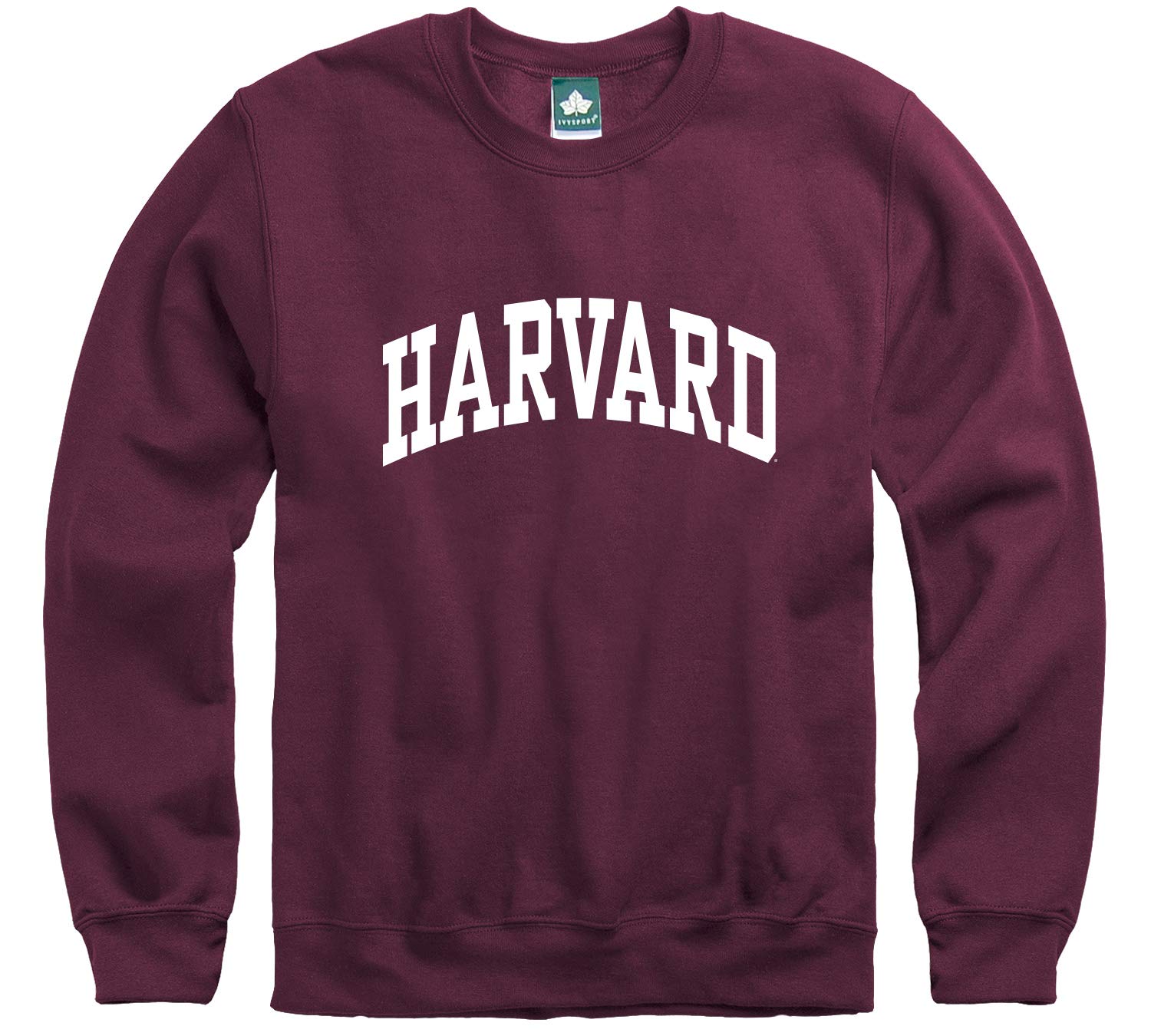 Best Youth Harvard Crest Hooded Sweatshirt