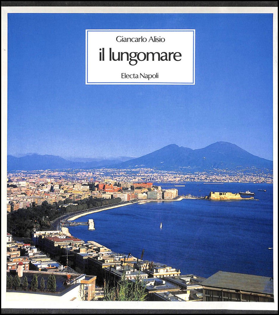 Il Lungomare Napoli Uomini E Luoghi Delle Trasformazioni Urbane Vol Iii Italian Edition Alisio Giancarlo 9788843529681 Amazon Com Books