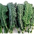 Kale Seeds - Lacinato Kale aka Dinosaur Kale or Black Tuscan Kale (100+ Seeds)