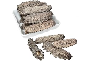 DABC OAK LAND DOL Wild Caught,Sun Dried Mexico Black Pin Sea Cucumber All Natural Nutritious 高泡發墨西哥野生肥仔刺參 雙排刺參 墨西哥刺參 (Large 8oz/bag)