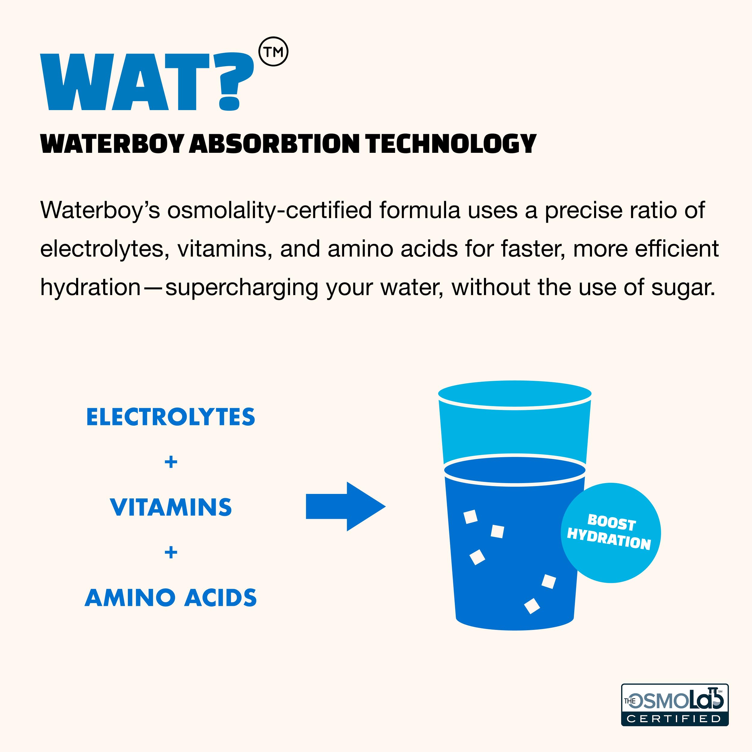 Waterboy Weekend Recovery Sample Pack | 3,200mg Electrolyte Powder Packets | Ginger + L-Theanine + Vitamins | No Sugar, All Natural, Gluten Free | 12 Drink Stick Mixes (Sample Pack)