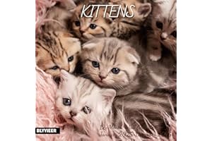 BLYYIEER 2025 Wall Calendar,Calendar 2025,Kittens Monthly Wall Calendar, 12" x 24" Open,Family Planner Calendar Organizer with Cute kittens Images, for Kitty Cats Lovers