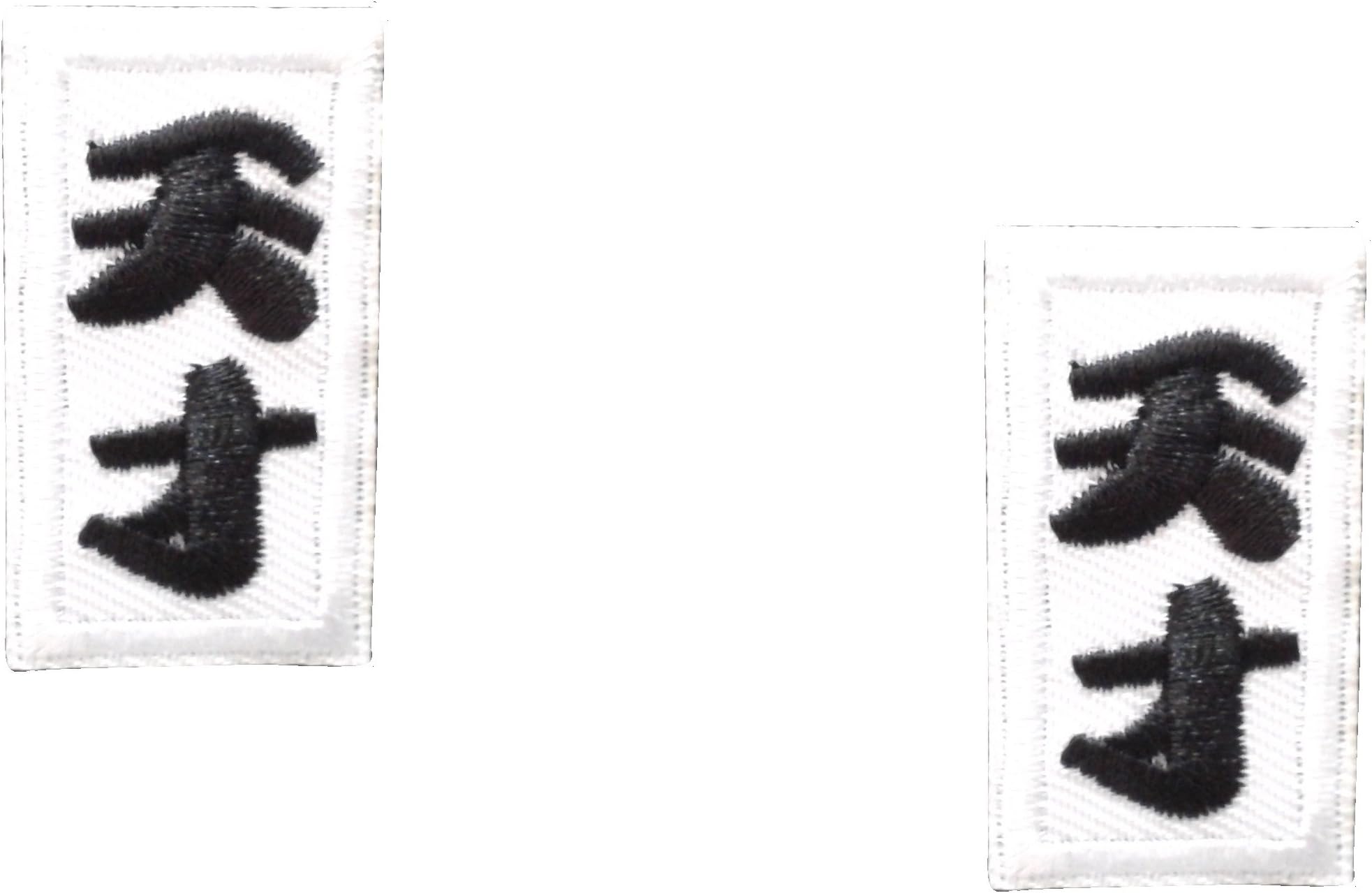 2 small pieces 天才CHINESE CHARACTER GENIUS Iron On Patch Embroidered Applique Motif Oriental Word Decal 1.5 x 0.8 inches (3.8 x 2 cm)