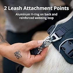 Ruffwear, Front Range Dog Harness, Reflective and