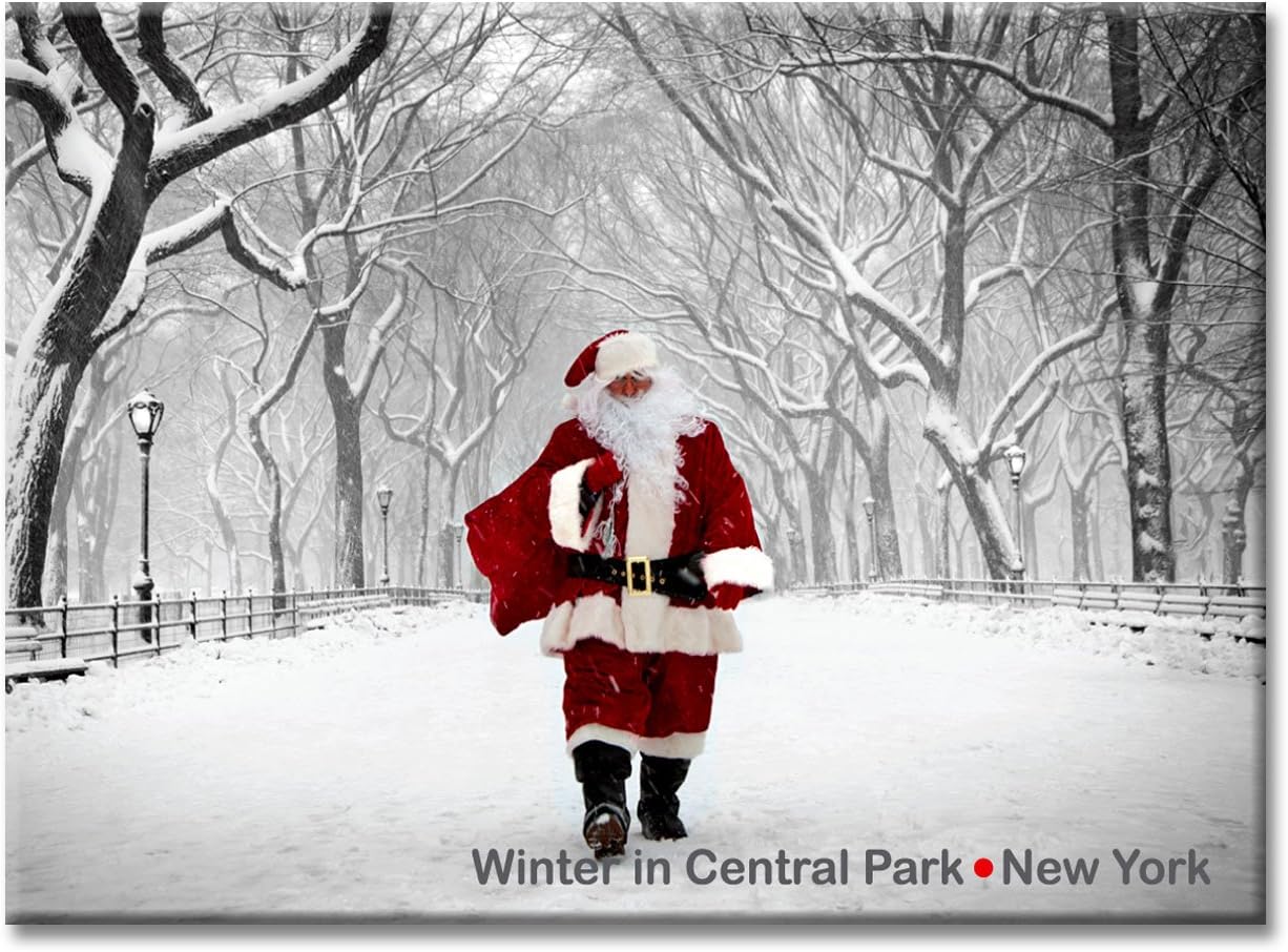 Santa in Central Park - Set of 3 New York City Photo Souvenir Refrigerator Magnet