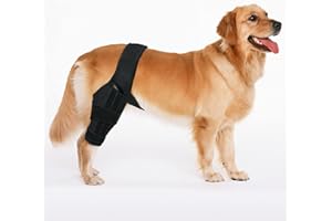 Dog Knee Brace, Dog Leg Brace, Support with Cruciate Ligament Injury, Joint Pain and Muscle Sore, Better Recovery with ACL, A