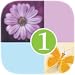 1 Clue: Words and Syllables