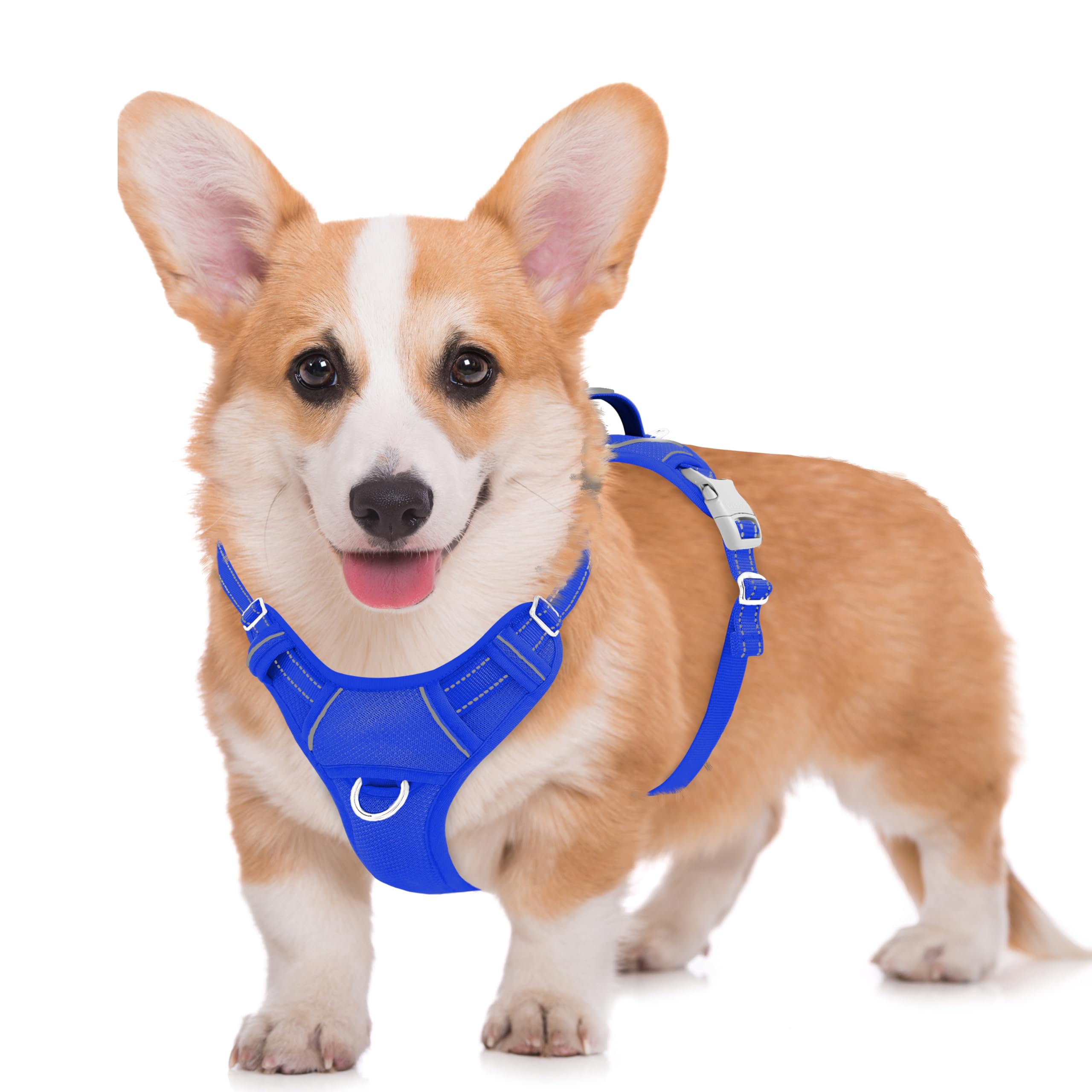BARKBAY No Pull Dog Harness Large Reflective Dog Harness with Front Clip and Easy Control Handle for Walking Training Running with ID tag Pocket(Sapphire Blue,M) Image BARKBAY No Pull Dog Harness Large Reflective Dog Harness with Front Clip and Easy Control Handle for Walking Training Running with ID tag Pocket(Sapphire Blue,M) Image