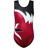 BAOHULU Girls Gymnastics Leotard Shiny Embroidery Dance Kids Children Athletic Activewear