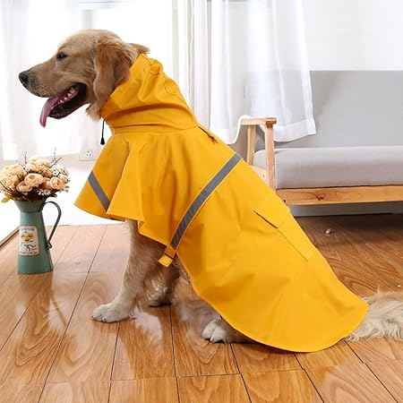 slicker raincoat