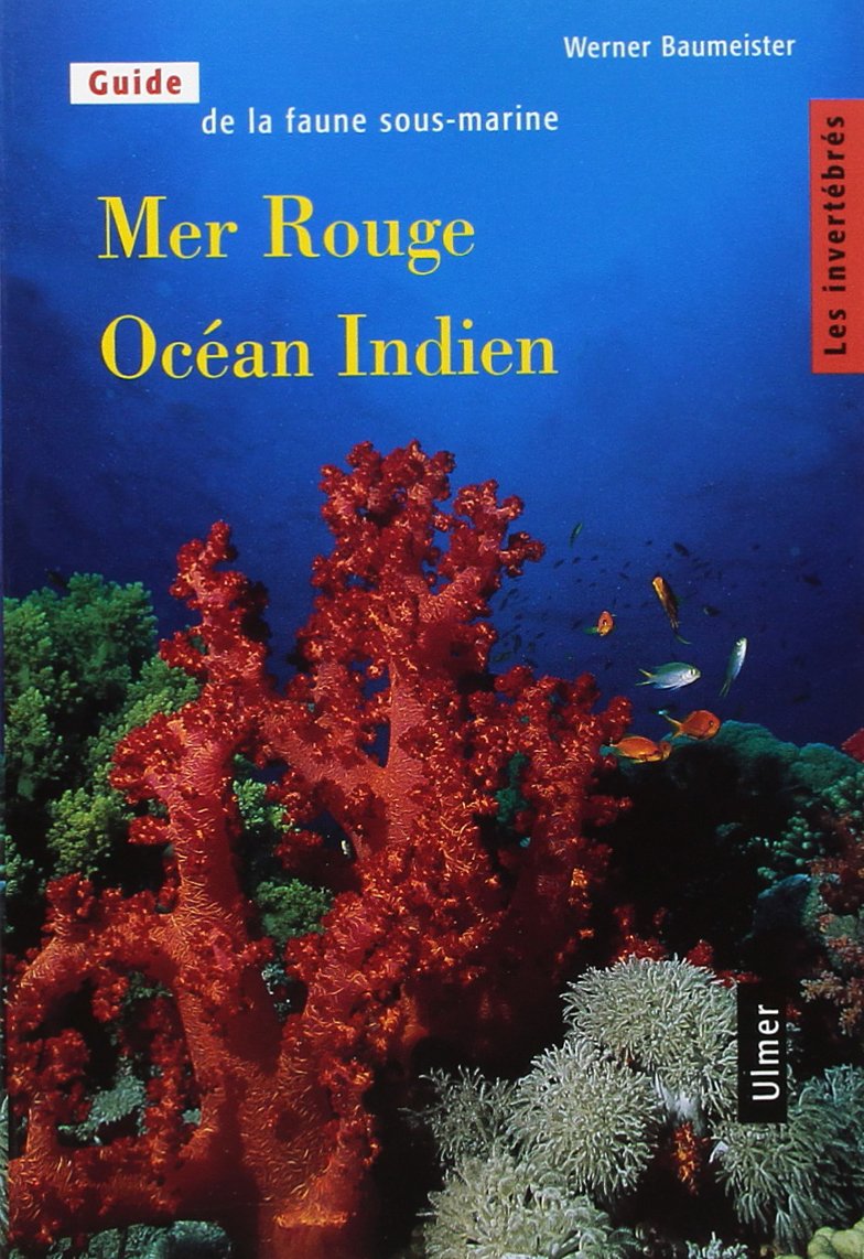 Mer Rouge Ocean Indien Tome 1 Les Invertebres Seatacairporttaxi Net Mer Rouge Ocean Indien Tome 1 Les Invertebres Seatacairporttaxi Net