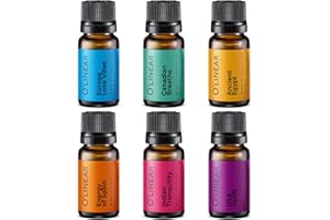 O'LINEAR Scent of Adventure Essential Oils Set 6 Aromatherapy Diffuser Blends for Home Office Humidifier Car Fresheners Premium Grade Relaxation Scented Oil Diffuser Refill Essentials Pack Christmas Gift Set