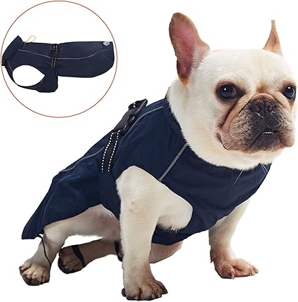 Reject Shop Dog Jackets Online Sales Up To 53 Off Www Encuentroguionistas Com Reject Shop Dog Jackets Online Sales Up To 53 Off Www Encuentroguionistas Com