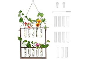 Augot 2 Tiered Hydroponic Plant Propagation Stations Wall Hanging Terrarium Kit, Propagation Station Tubes Terrarium Plants Live Wooden Frame, 9 Test Tubes, 1 Cleaning Brush, for Home Office Decor
