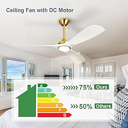 BvenuBigLite Modern Ceiling Fan with Light: White