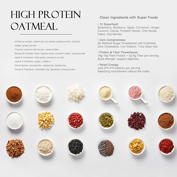SUNGIVEN HIGH PROTEIN OVERNIGHT OATS WITH CONTAINER – 7 FLAVORS LOW SUGAR HIGH FIBER INSTANT OATMEAL HEALTH BREAKFAST SNACKS FOR GYM OFFICE SCHOOL TRIP KIDS WITH SUPERFOODS, 14-PACKS, 37 OZ