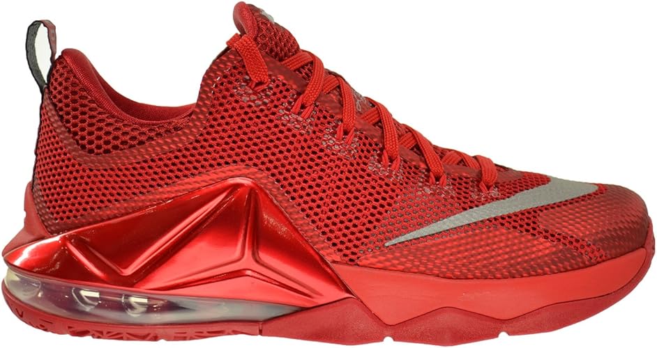 nike lebron xii low