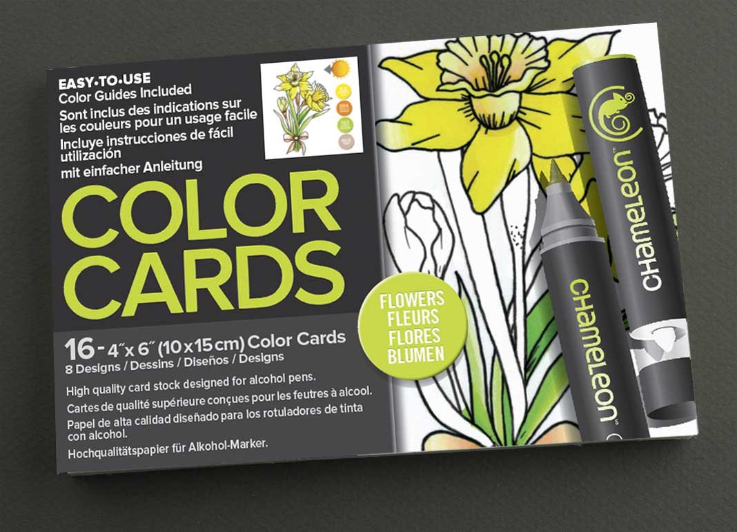 Chameleon Color Cards Flowers Amazoncouk Office Products