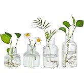 Hewory Glass Propagation vases for Plants: 4 PCS Ribbed Propagated Plant Holders for Hydroponic Cutting Flowers - Clear Propagation Stations Terrarium Jars for Home Office Decor Plant Lover Gifts