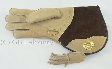 GB Falconry Falknerei Wildleder-Handschuh Doppel gehäutet Fleece gefüttert Rechten medium