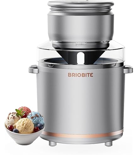 Amazon.com: Panasonic BH-941P Ice Cream Maker: Ice Cream Machine