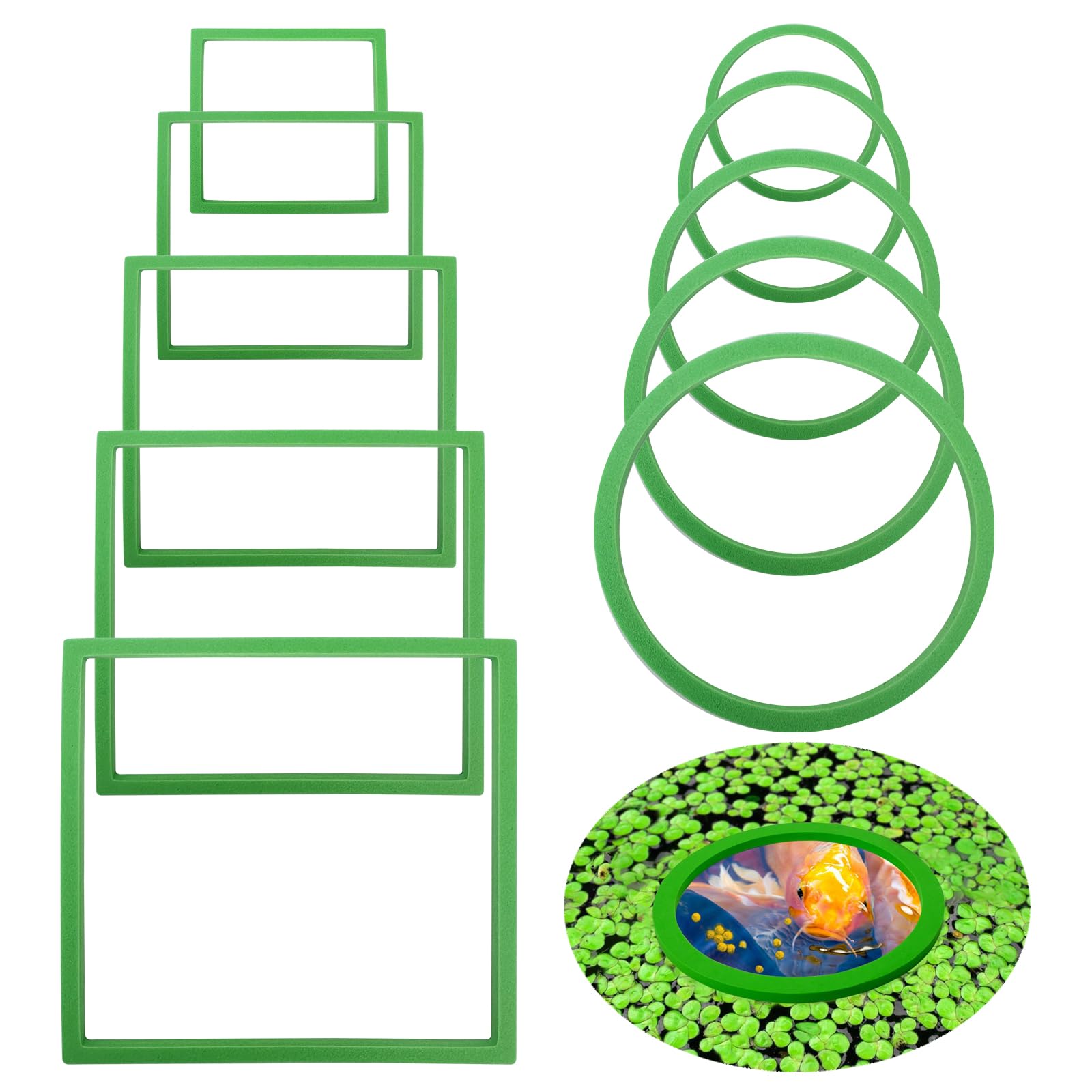 10 Pcs Fish Feeding Rings, Aquarium Floating Plant Rings, Round & Square Fish Feeder Rings, Floating Plant Rings for Aquariums, for Freshwater, Salt Water For Holding Or Separating Floating Plants