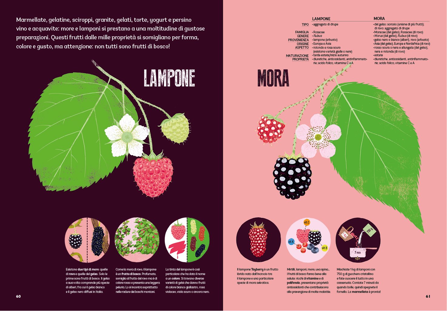 Gufo O Civetta Guillaume Plantevin Emma Strack