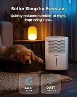Pro Breeze 12L/Day Dehumidifier with Auto Humidity Sensor & Timer view 3