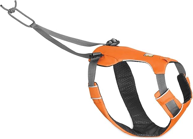 amazon ruffwear harness