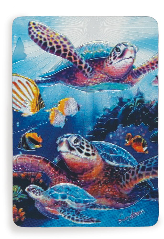 Best Turtle Refrigerator Magnets