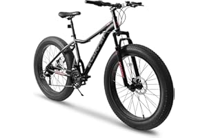 Ecarpat Snow Fat Tire Mountain Bike 20/24/26 Inch, Front/Dual Suspension 3/4" Wide Non-Slip Big Fat Tire Mountain Bikes, Gifts 7/21 Speed Men Women Bicycles, Disc Brake