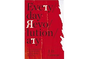 Everyday Revolutionary: How to Transcend the Culture War and Transform the World