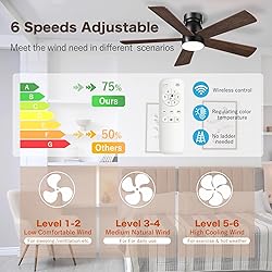 AKOFUN Ceiling Fans with Lights, 42 inch Low