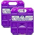 Arctic Ice Tundra Series Long Lasting Reusable Ice Pack for Coolers, Lunch Boxes, Camping, Fishing and More (2-Pack) (Medium 1.5 LB)